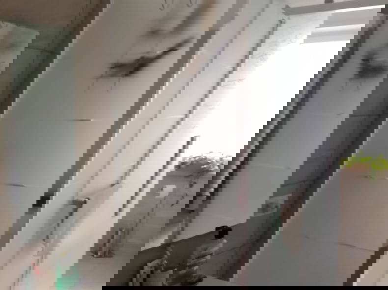 Homestay Torino 263090-5