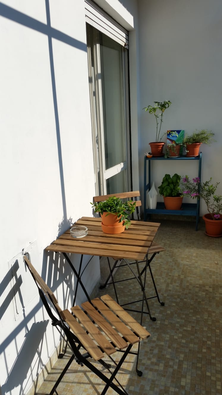 Homestay Torino 263090