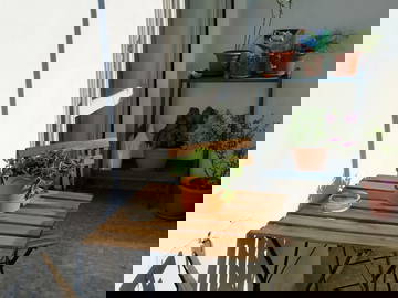 Homestay Torino 263090-9