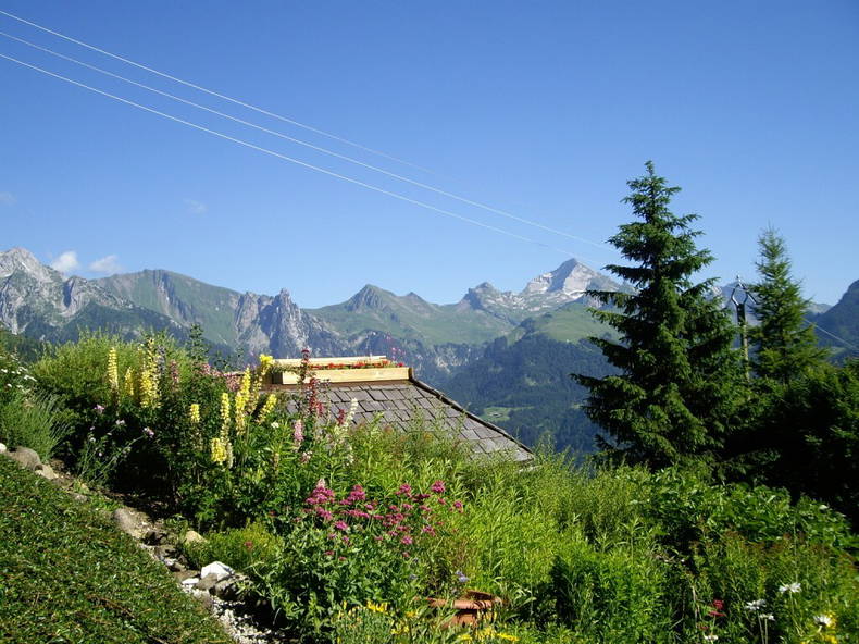 Toda La Casa Manigod 33850-2