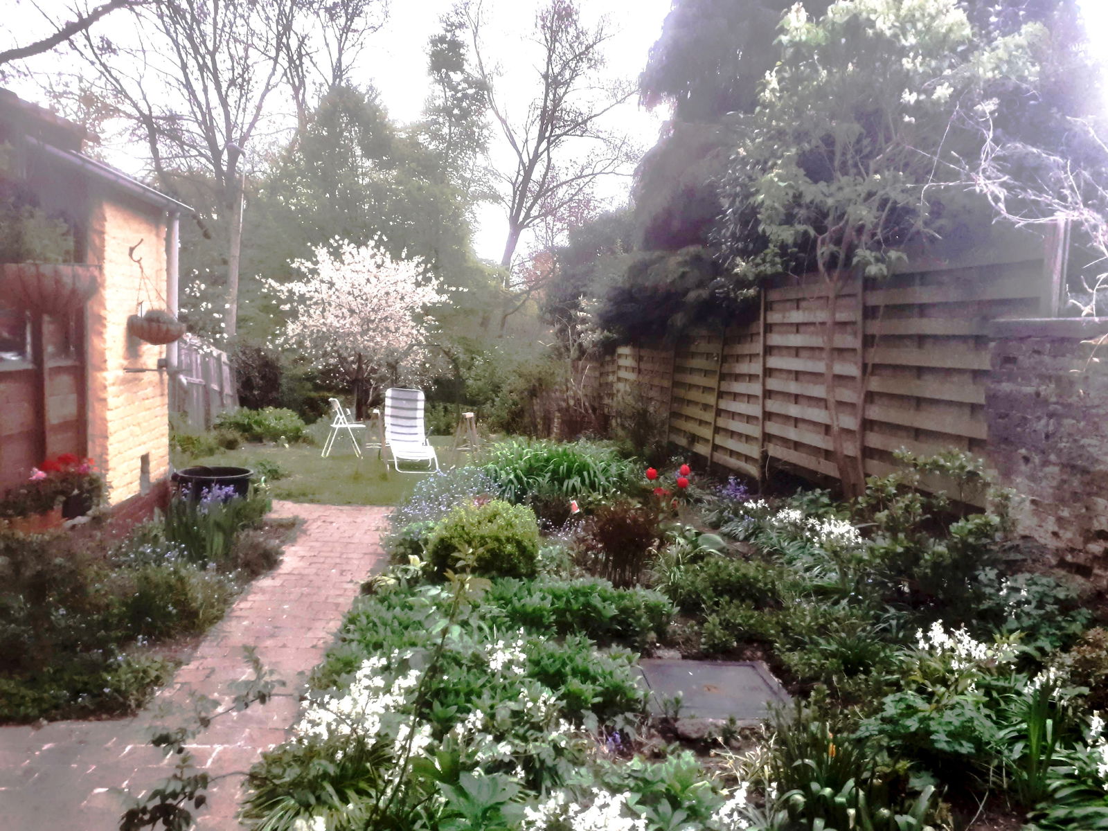 Homestay Overijse 255517