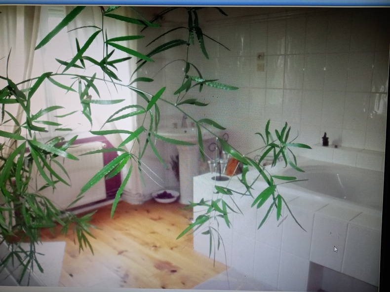 Chambre Chez L'habitant Saint-Maurice-en-Gourgois 259248-2