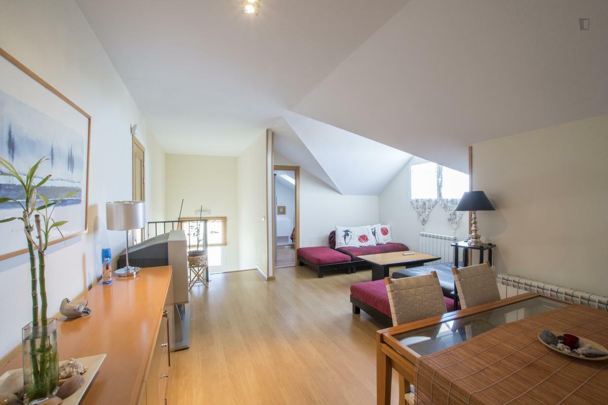 Homestay Comunidad de Madrid 30061