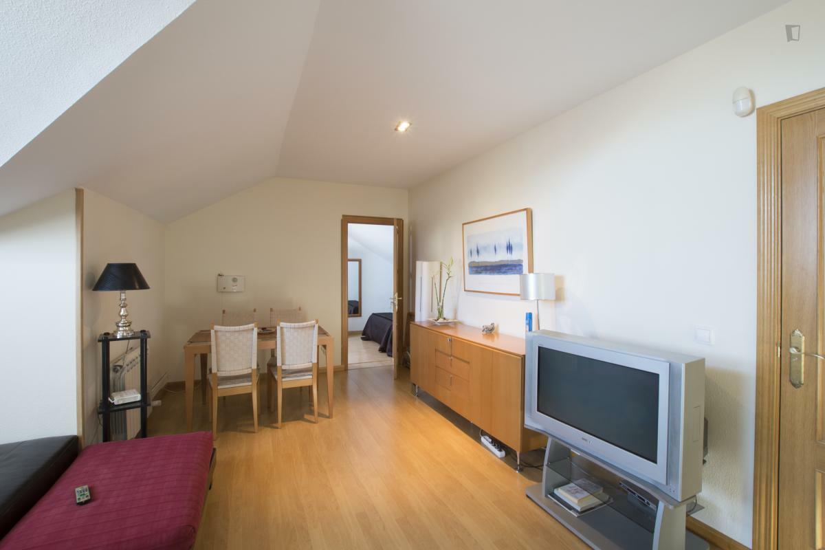 Homestay Comunidad de Madrid 30061