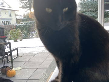 Chambre Chez L'habitant Epalinges 244501-8