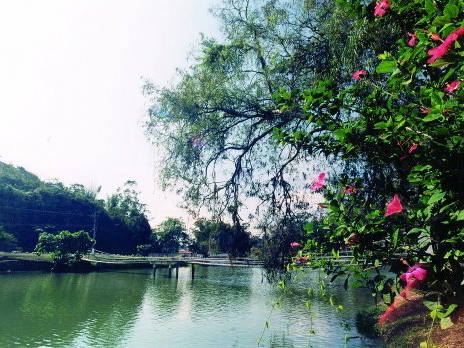 Hele Huis Rio de Janeiro 162174-3