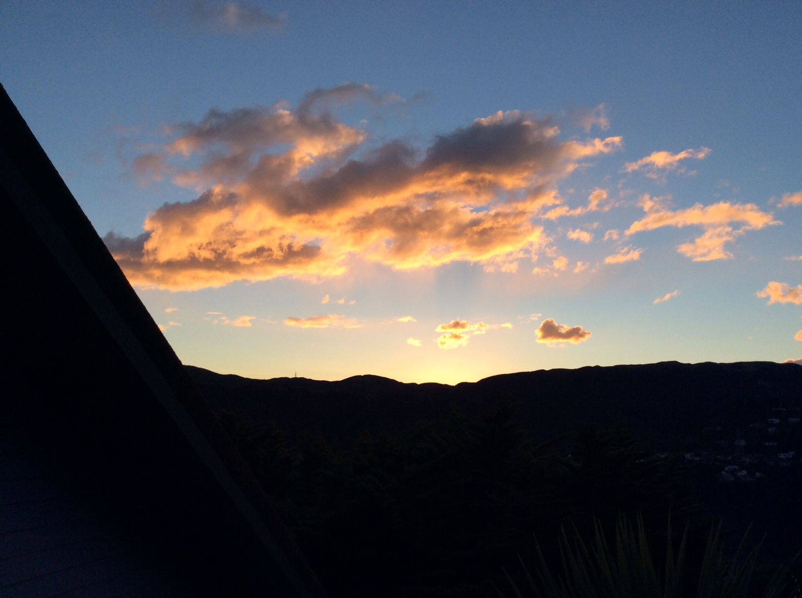 Homestay Wellington 107340