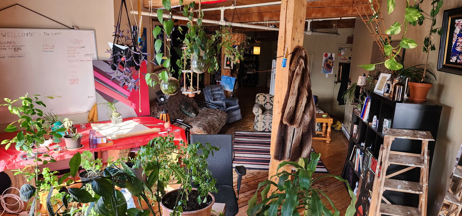 Homestay Montréal 328538