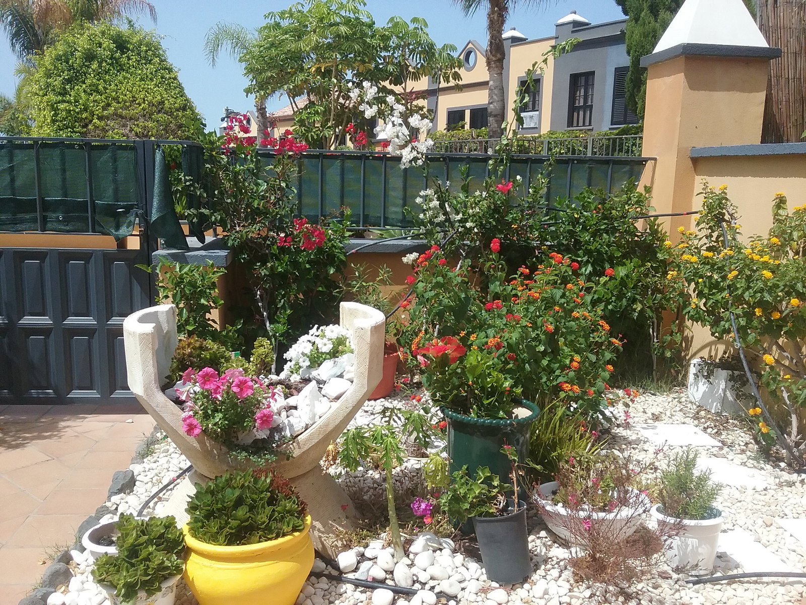 Chambre Chez L'habitant Costa Adeje 254423