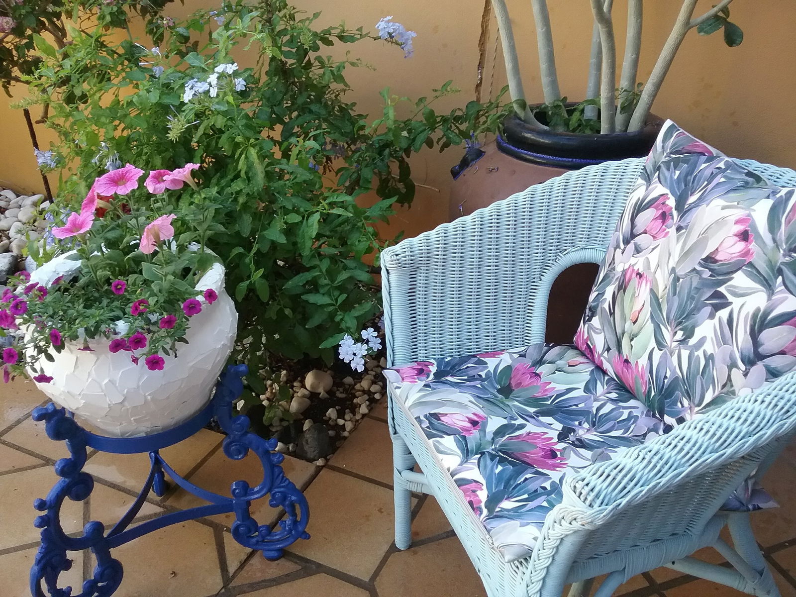 Chambre Chez L'habitant Costa Adeje 254430