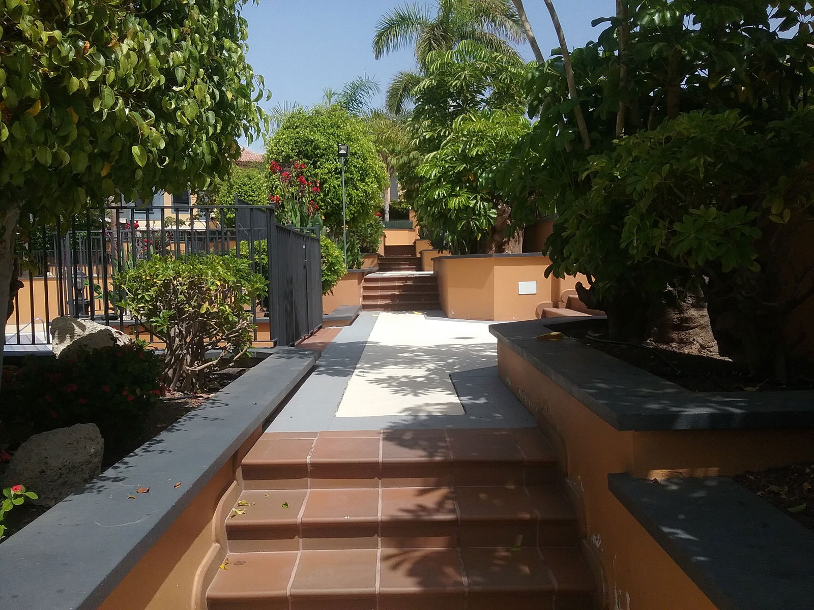 Chambre Chez L'habitant Costa Adeje 254430