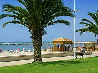 Chambre Chez L'habitant Caissargues 132990-7