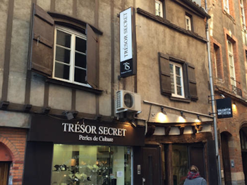 Logement Entier Toulouse 347443-10