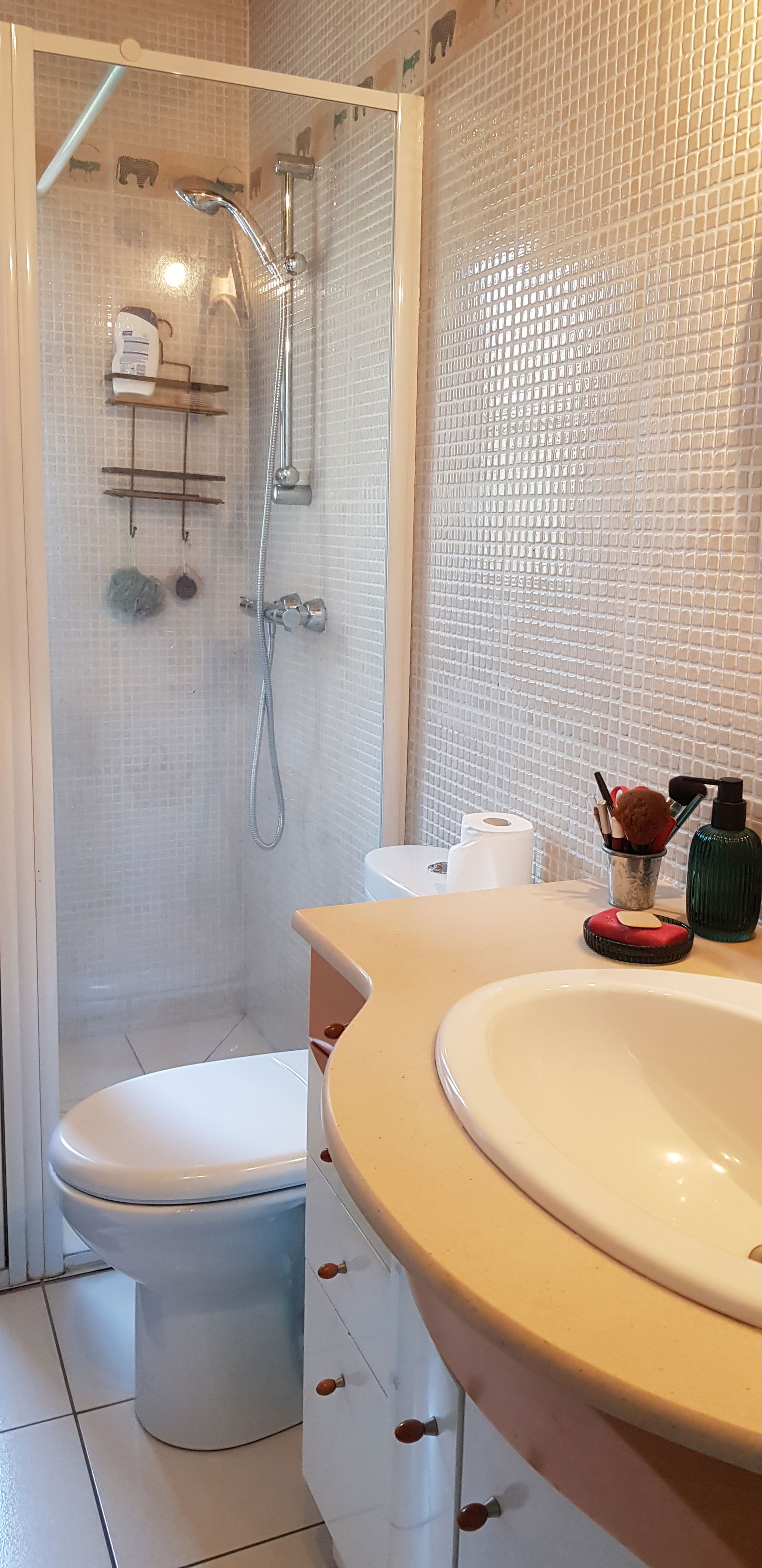 Homestay Miribel 66409