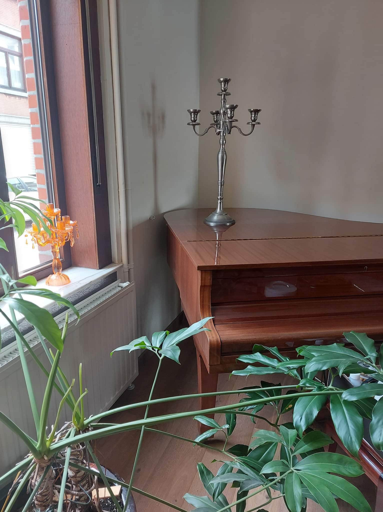Homestay Liège 264892