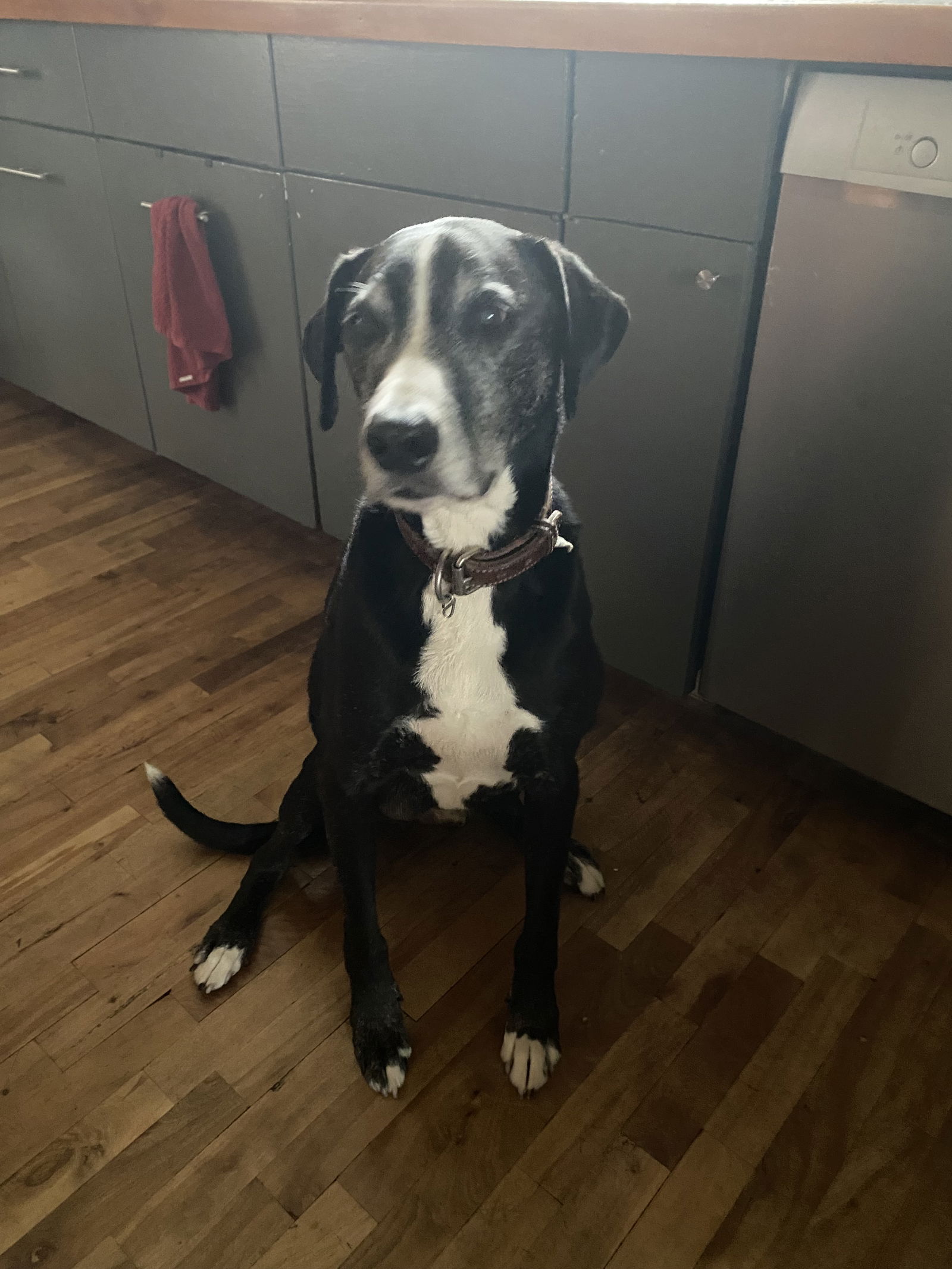 Homestay Sherbrooke 656321