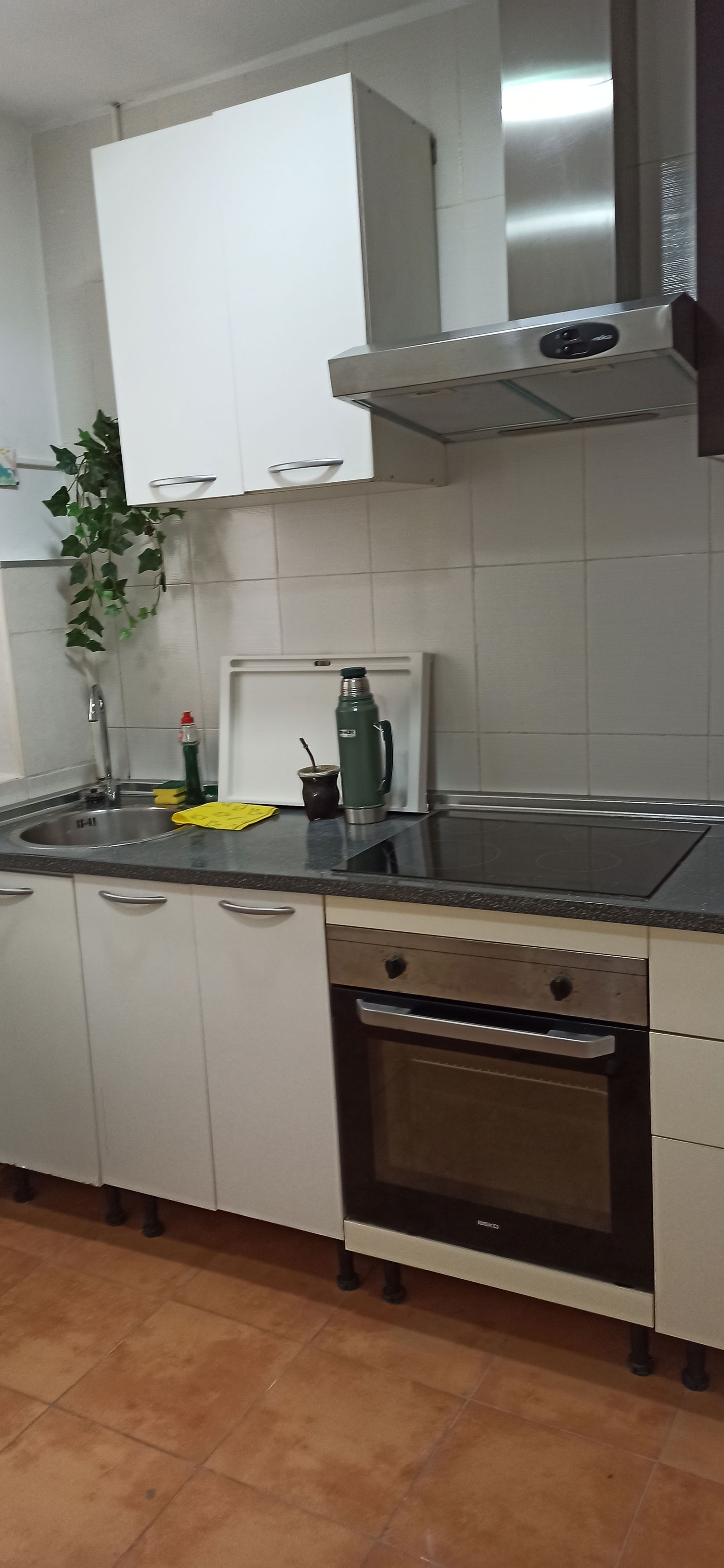 Colocation Oviedo 299407