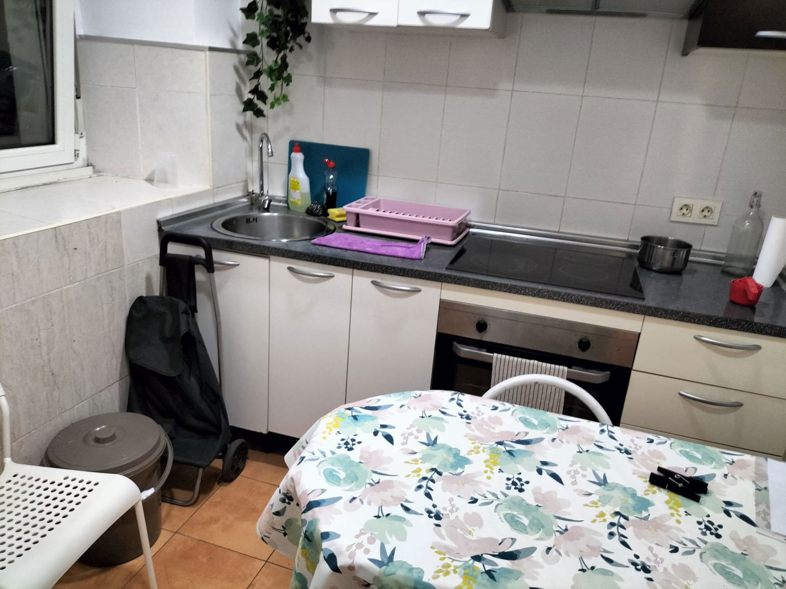 Colocation Oviedo 299407