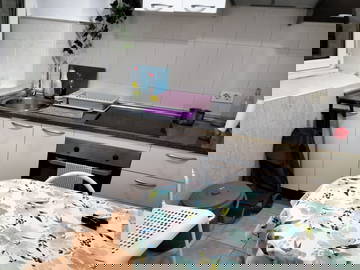 Shared Accommodation Oviedo 299407-7