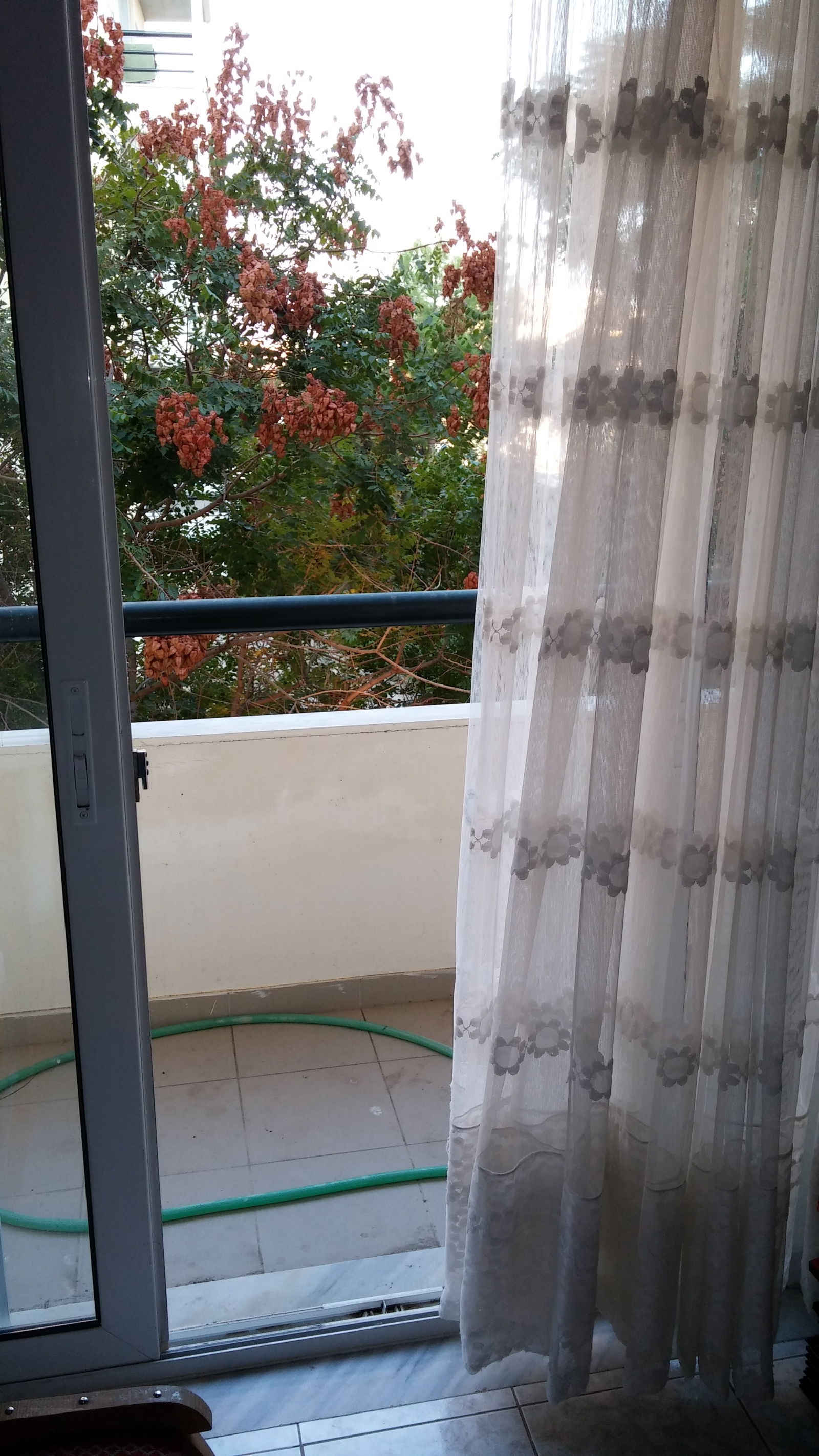 Homestay Alexandroupoli 134524