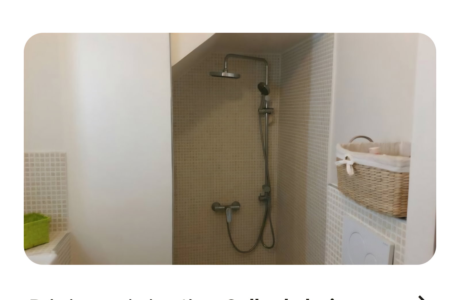 Homestay Lyon 663289