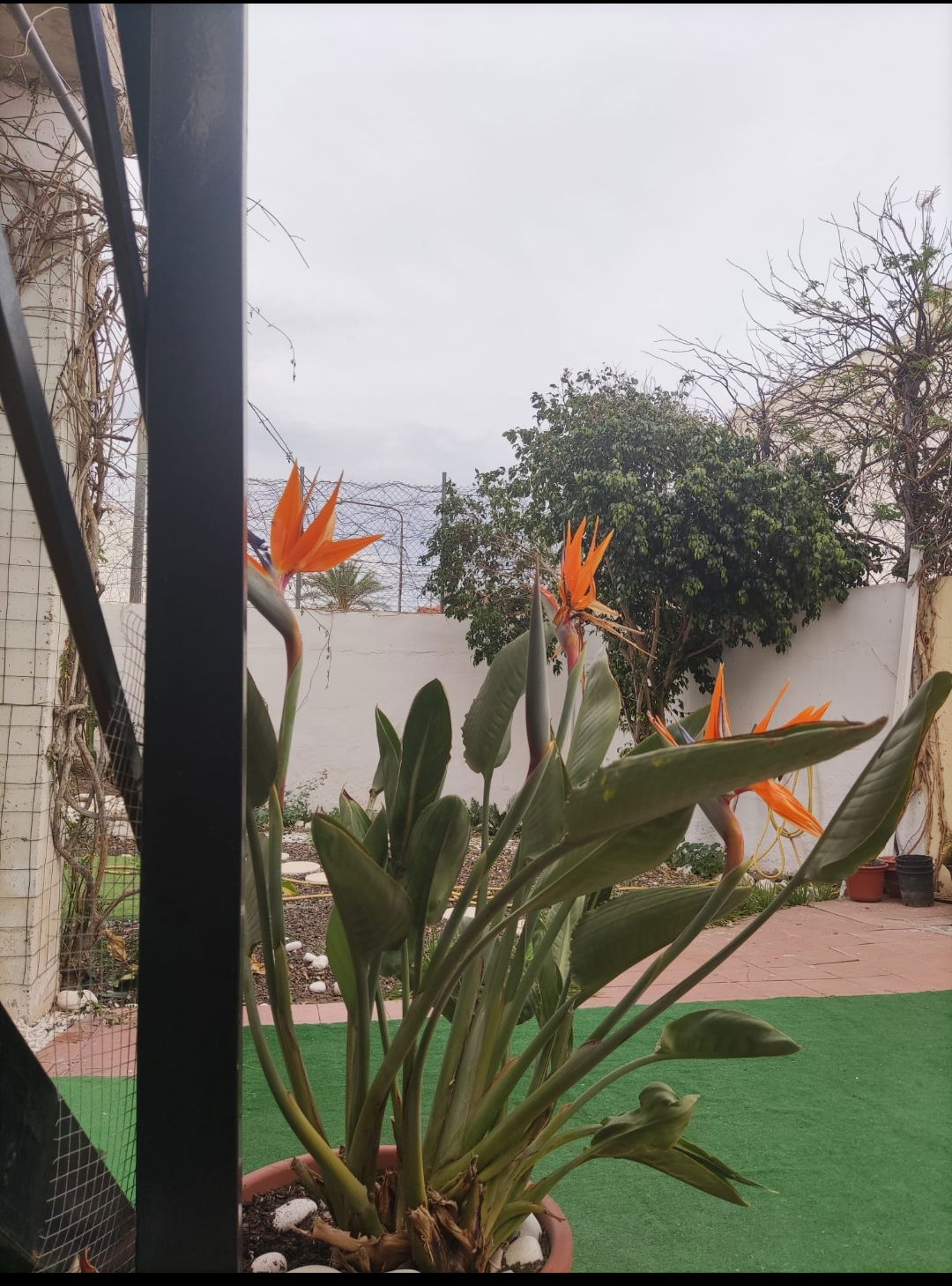 Homestay La Ñora 365861