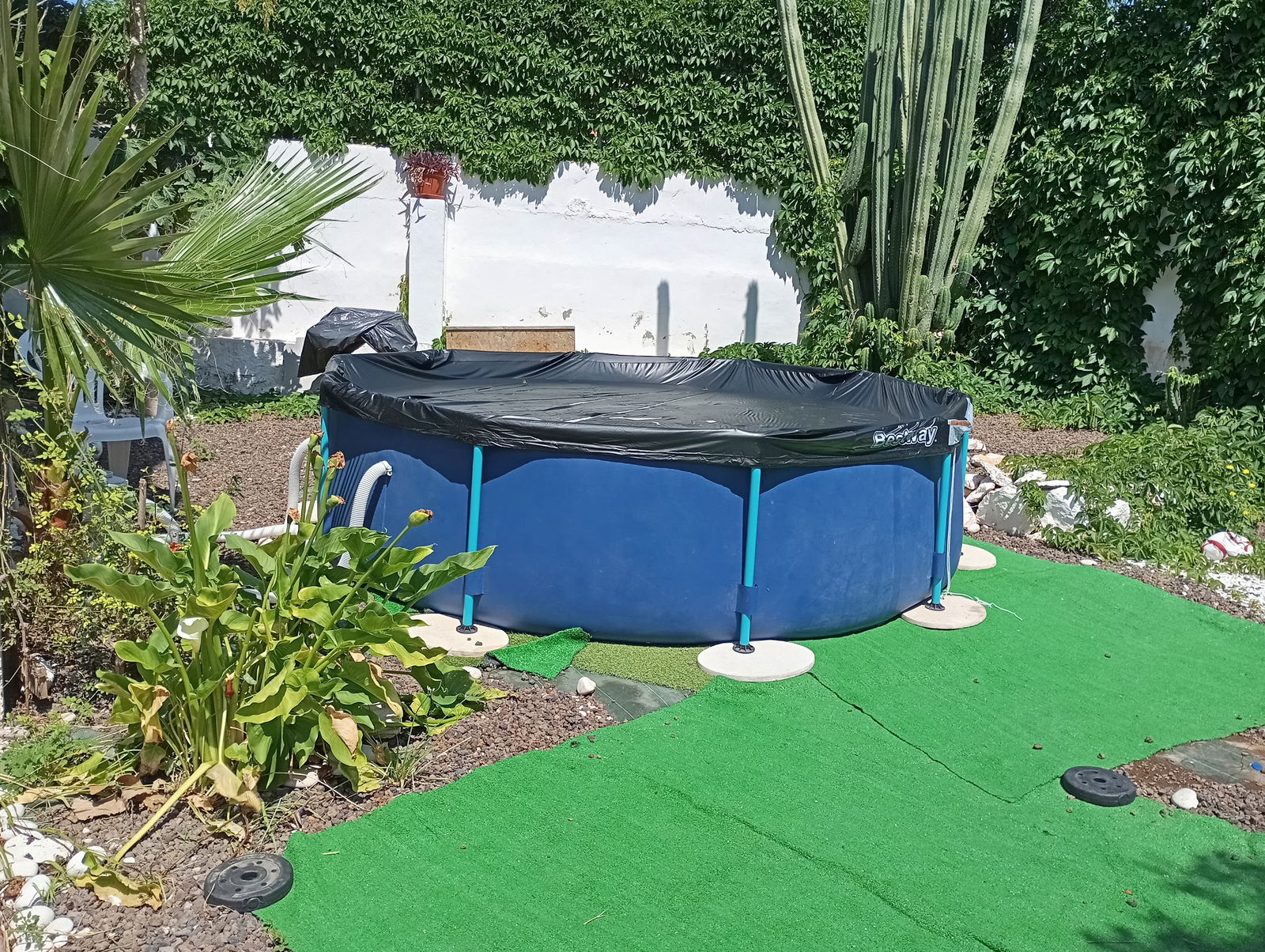 Homestay La Ñora 365861