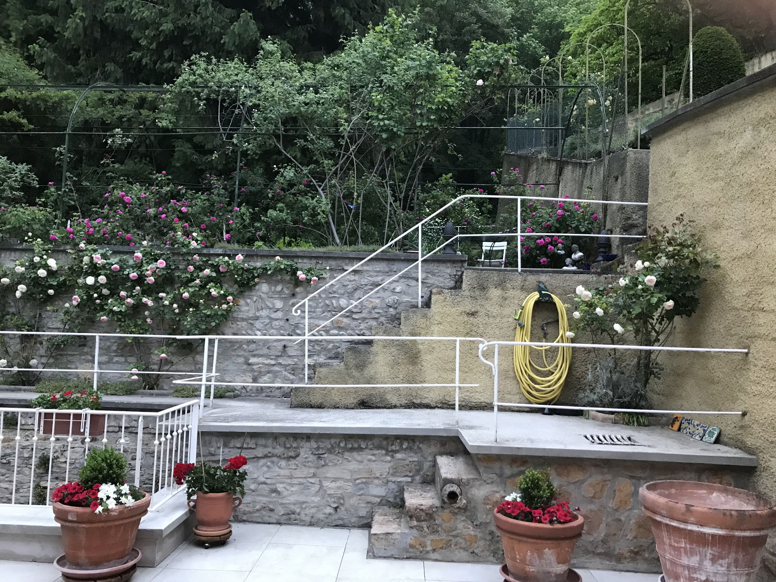 Homestay Caluire-et-Cuire 203331