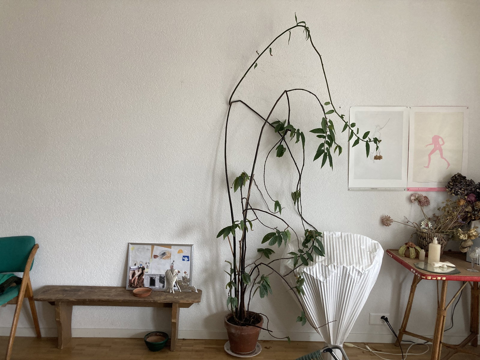 Homestay Lausanne 676655