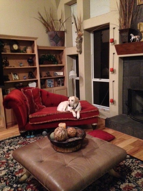 Gastgezin McKinney 161749