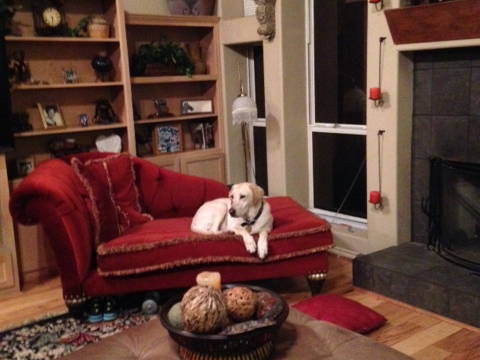 Gastgezin McKinney 161749-2