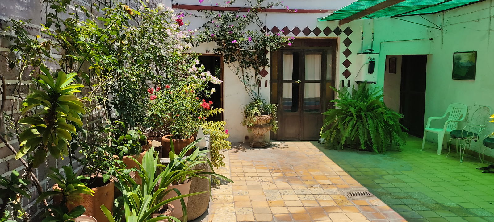 Homestay Autlán de Navarro 260481