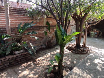 Chambre Chez L'habitant Autlán De Navarro 260481-6