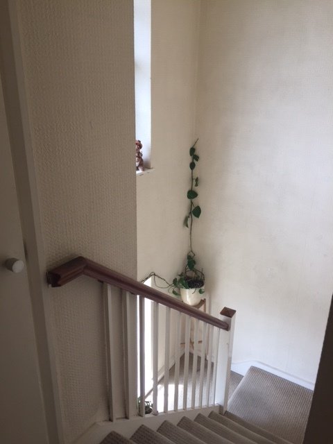 Homestay NW1 4DQ 208106
