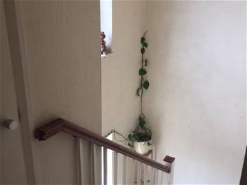 Homestay Nw1 4Dq 208106-6