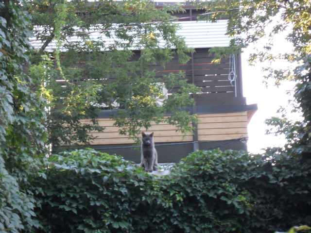 Homestay Montréal 47161