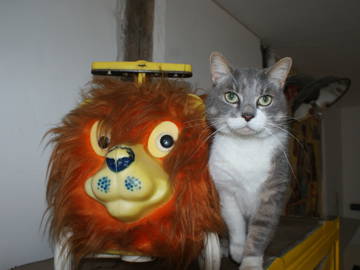 Chambre Chez L'habitant Bourges 251129-4