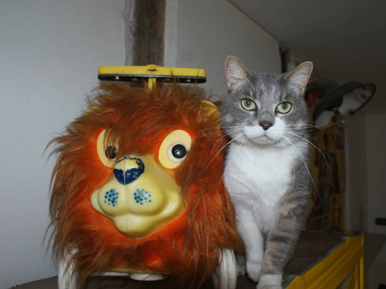 Zakwaterowanie U Rodziny Bourges 251129-4