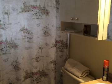 Chambre Chez L'habitant Brossard 257307-5