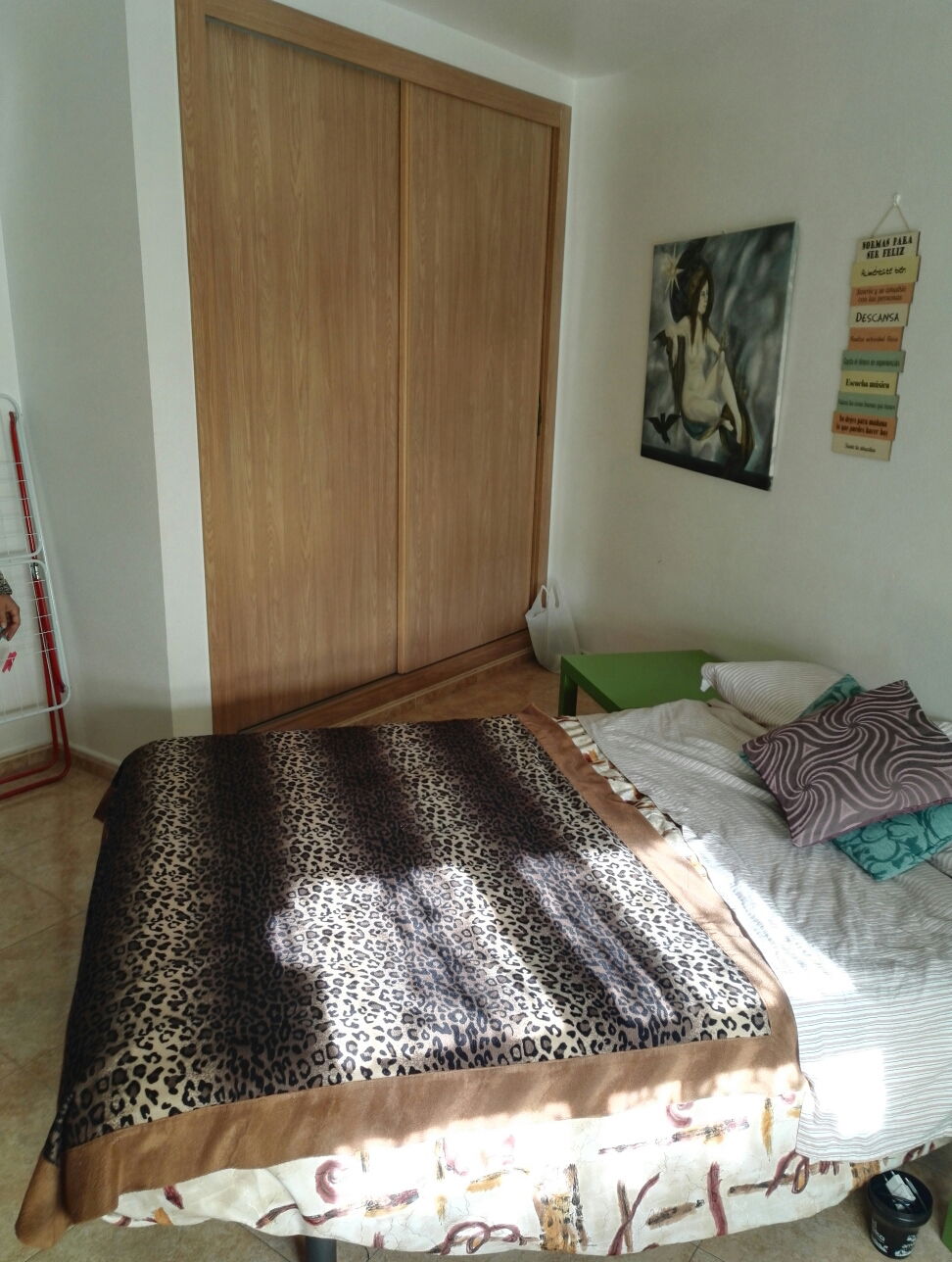 Colocation Murcia 183393