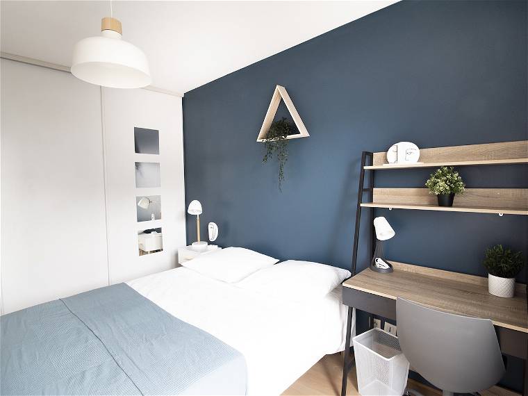 Chambre À Louer Lyon 265550