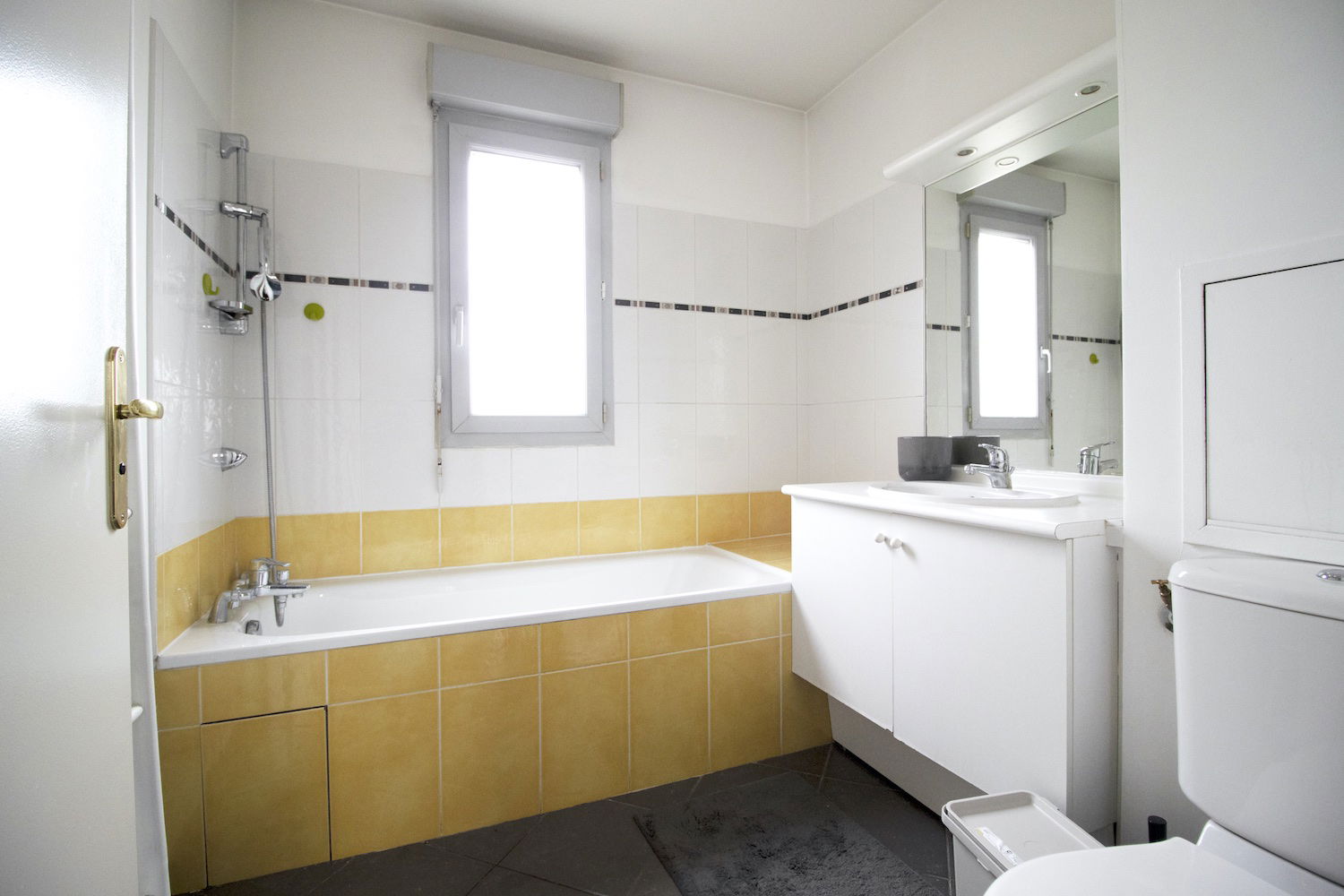 Colocation Lyon 265550