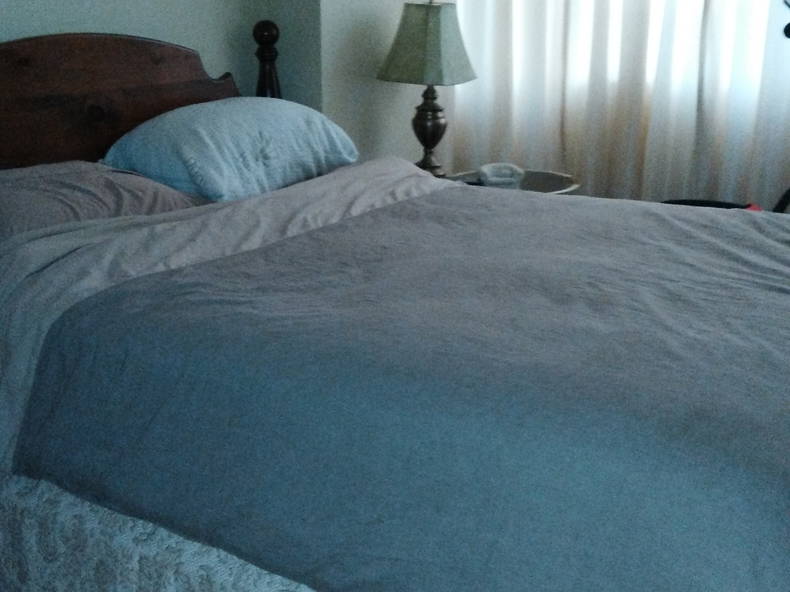 Gastfamilie Toronto 154619-1