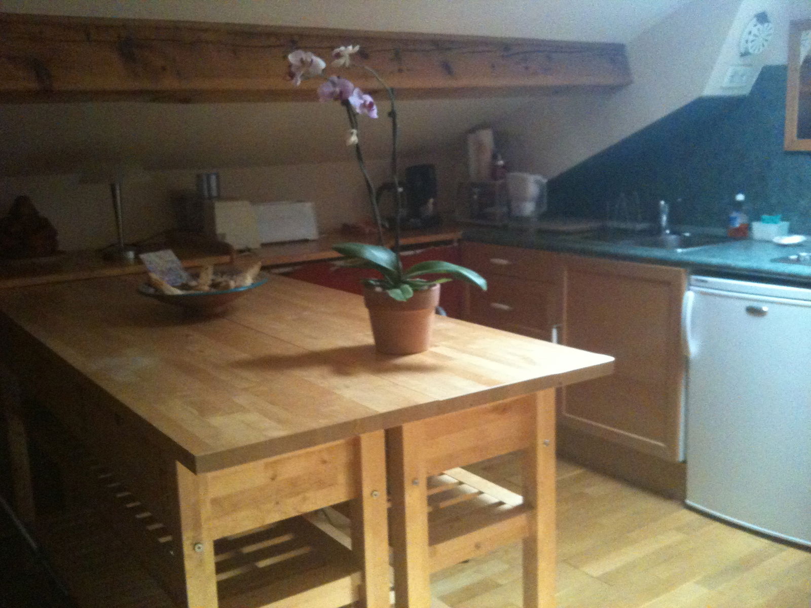 Homestay Avignon 24209