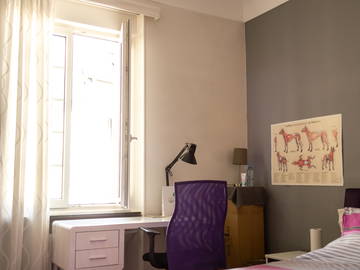 Colocation Dudelange 181044-10