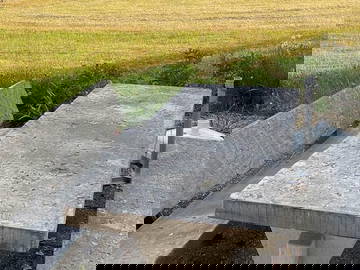 Gastfamilie Oron 374515-6