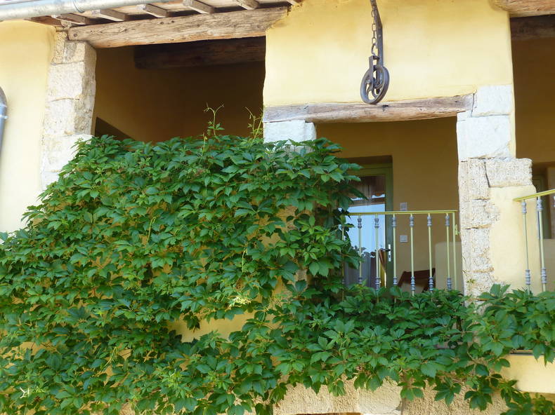 Colocation Vergèze 238826-5