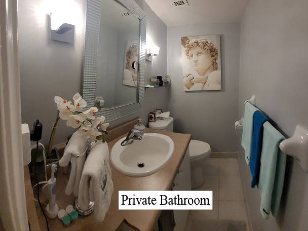 Coliving Toronto 462944-2