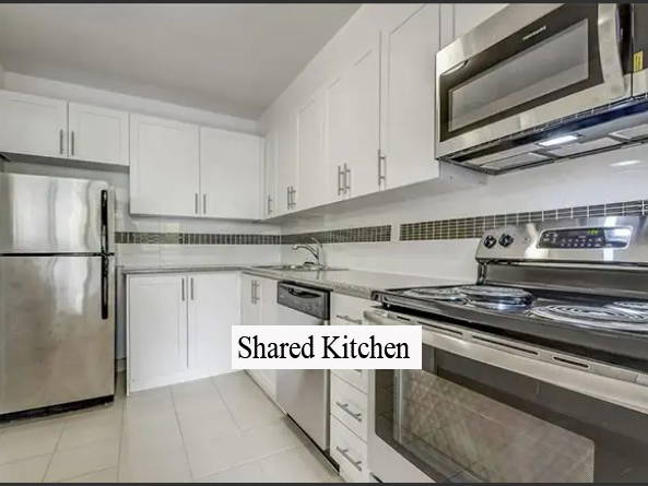 Coliving Toronto 462944-3