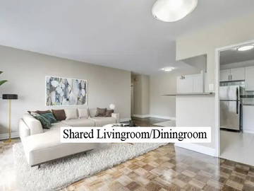 Coliving Toronto 462944-4